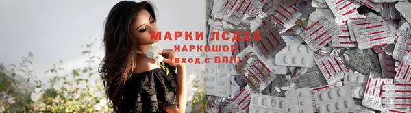 твердый Инта