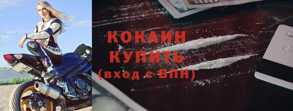 твердый Инта