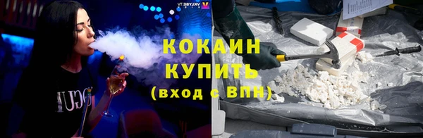 твердый Инта