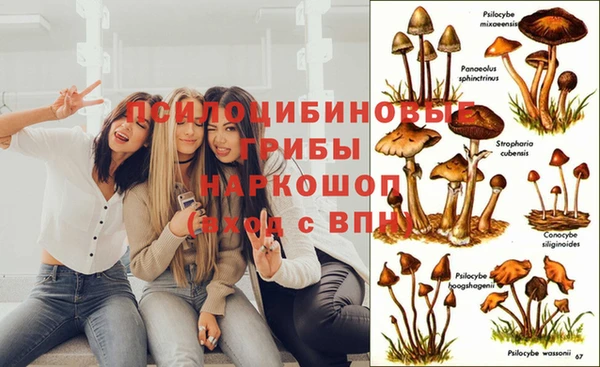 трава Инсар