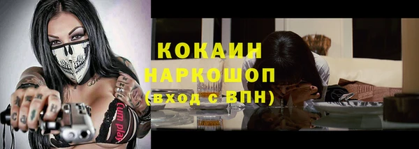 твердый Инта