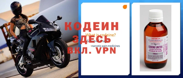 твердый Инта