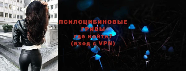 трава Инсар