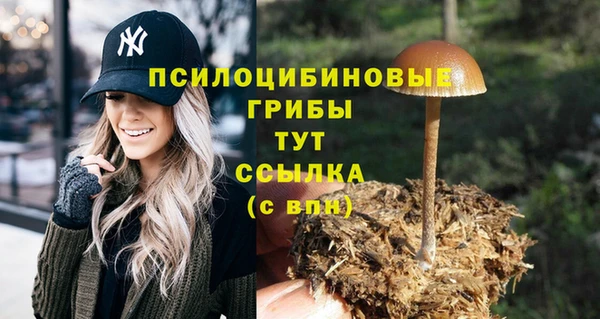 твердый Инта