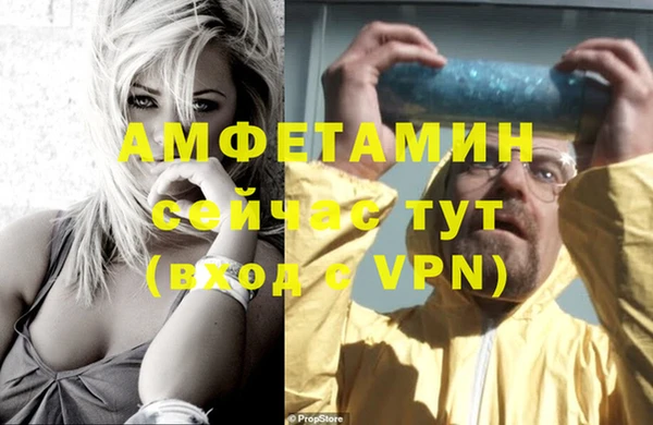 твердый Инта