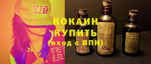 твердый Инта