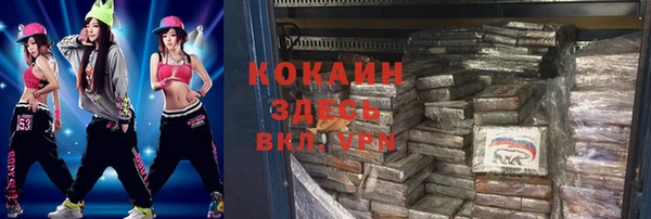 твердый Инта