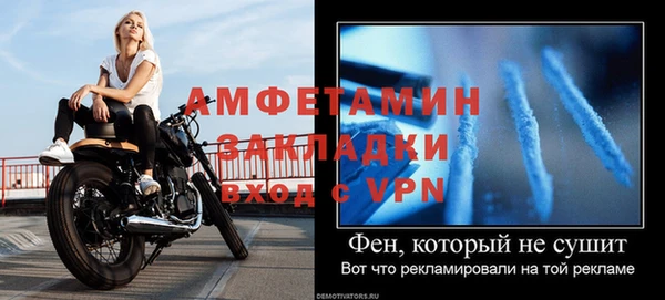 твердый Инта